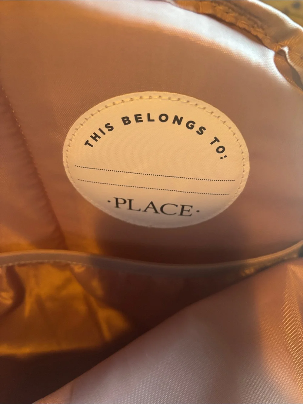 The Children's Place Pink Canvas Backpack with Matching Pouch